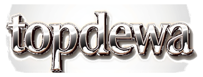 topdewa logo